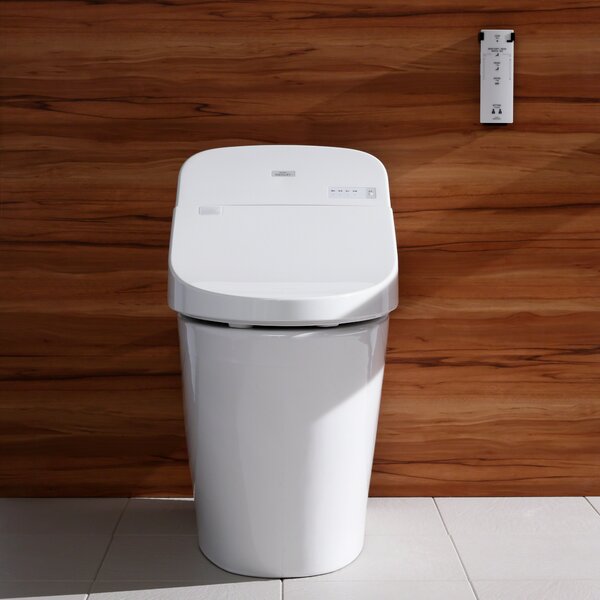 rear-discharge-toilet-wayfair-ca